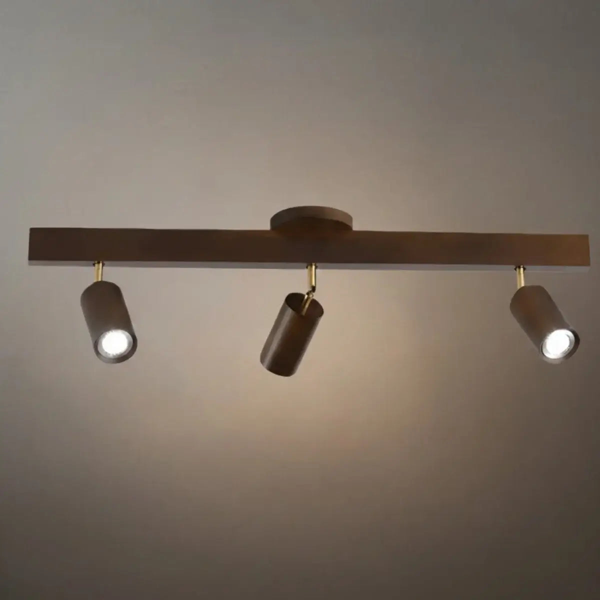 Modern Track Light
